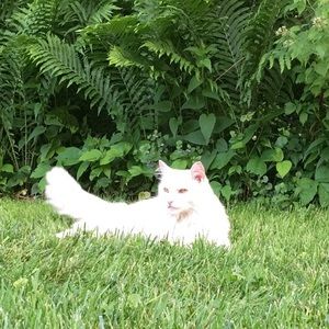 Meet your Posher, Judith