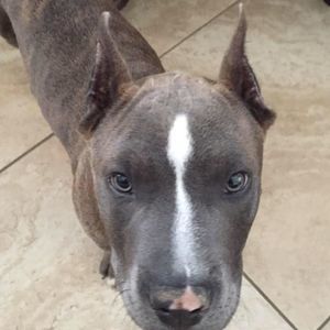 Meet your Posher, Isaac