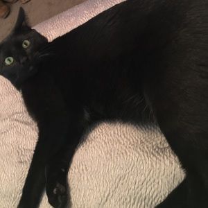 Meet your Posher, Courteney