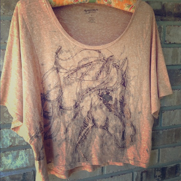 Arizona horse crop top