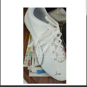 Brand new pumas size 8