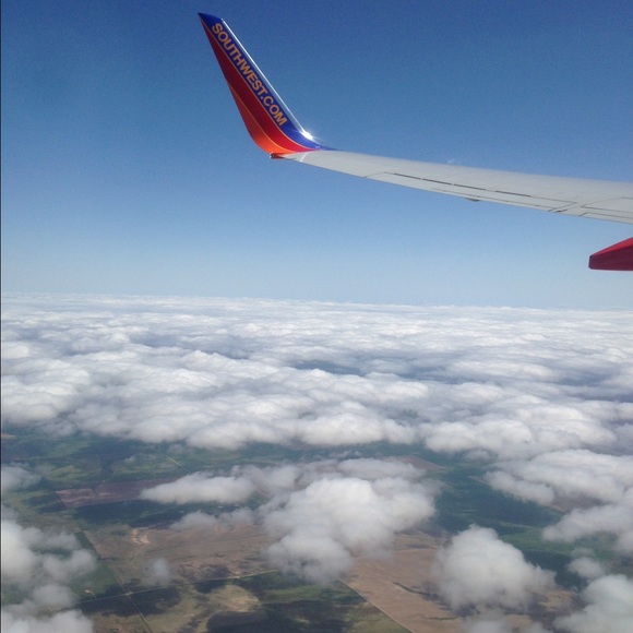 Meet your Posher, Grace - Picture 1 of 1