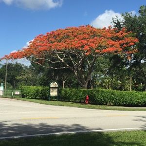 Meet your Posher, Katia