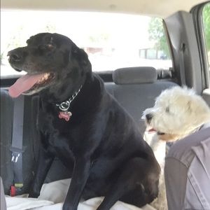 Meet your Posher, Amanda