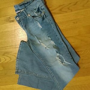 Premium Vanity Collection Distressed Blue Jeans