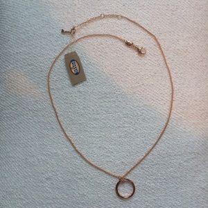 Rose Gold Fossil Necklace
