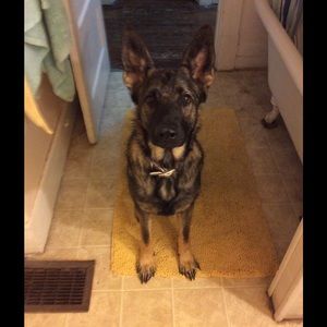 Meet your Posher, Ashley