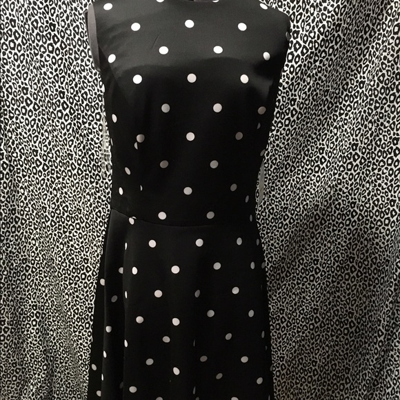 Chaps NWT polka dot fit and flare dress