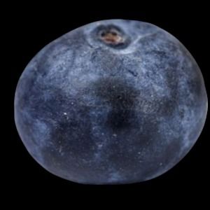 Meet your Posher, Carmina