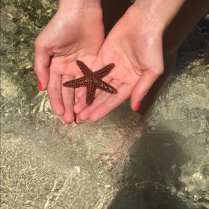 Meet your Posher, Ella