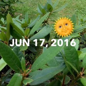 Meet your Posher, Destiny