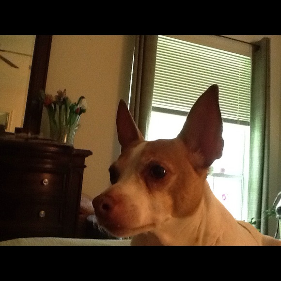 Meet your Posher, Kathy