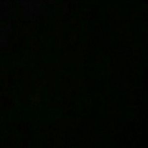 Meet your Posher, Joy