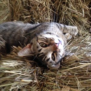 Meet your Posher, Tammy