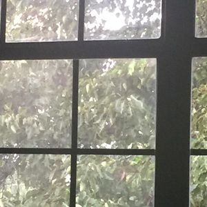 Meet your Posher, Willette