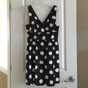 Ann Taylor LOFT Dress