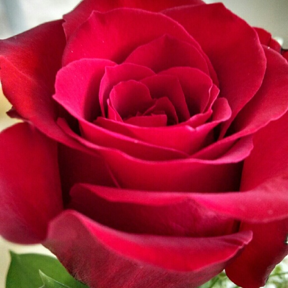 Meet your Posher, Courtney - Picture 1 of 1