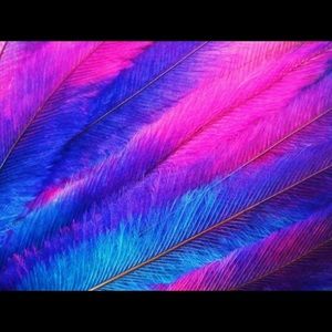 Meet your Posher, Maritza