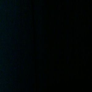 Meet your Posher, Shannen marchesee