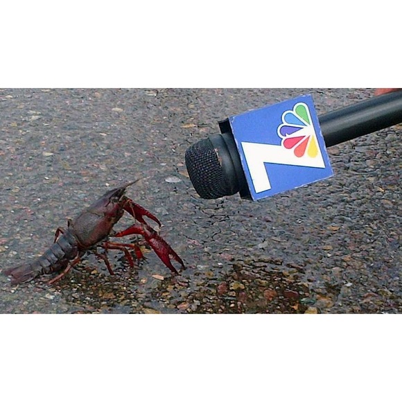 ππ½ππ½ππ½ππ½ππ½ - Picture 3 of 3