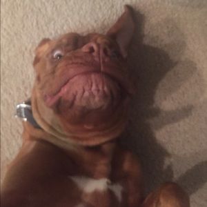 Meet your Posher, Shannon