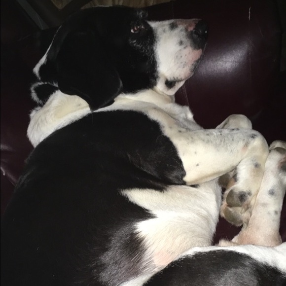 Meet your Posher, Megan - Picture 1 of 1