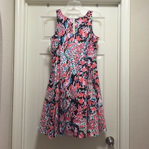 Lily Pulitzer Gosling dress