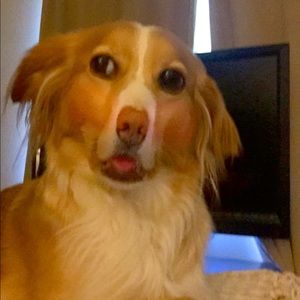 Meet your Posher, Heather