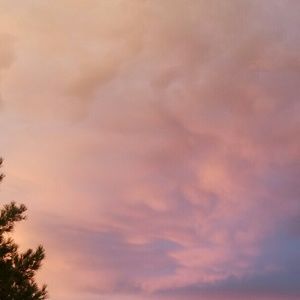 Meet your Posher, Susana