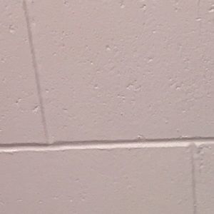 Meet your Posher, Carolyn