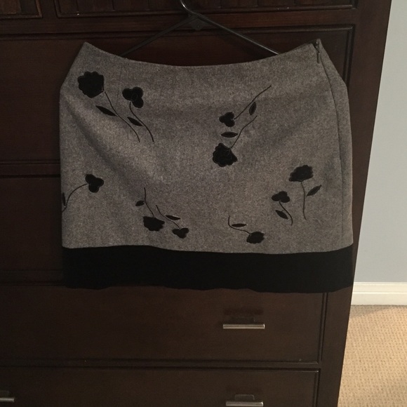 Ann Taylor Skirt
