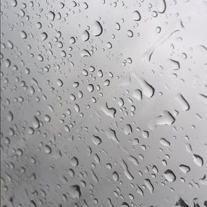 Meet your Posher, Desiree