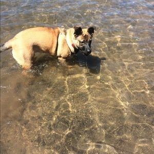 Meet your Posher, Leslie