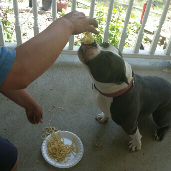 Meet your Posher, Gabriela - Picture 2 of 2