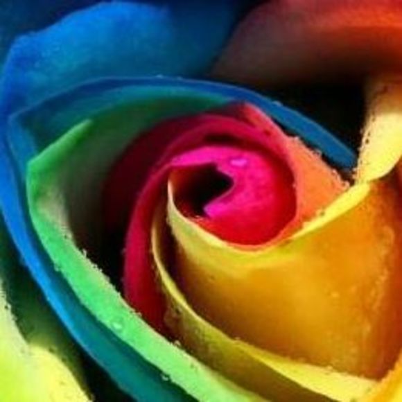 Meet your Posher, Tamara