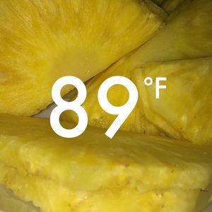 Meet your Posher, Tara