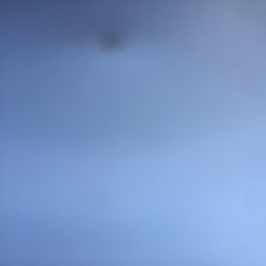 Meet your Posher, Estella