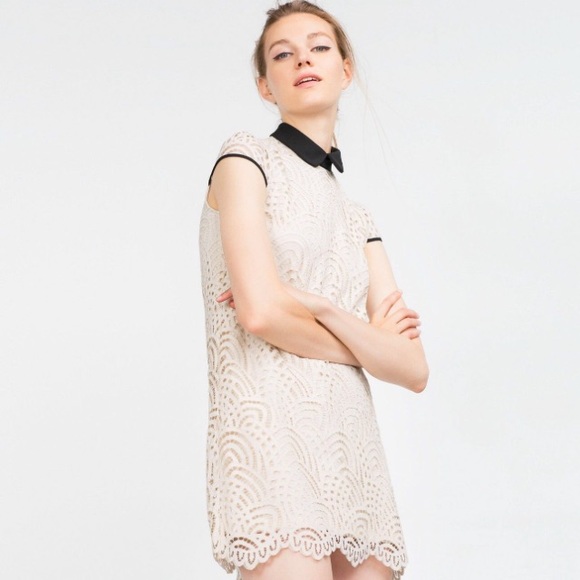 Zara Lace Dress With Peter Pan Collar
