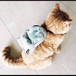 Meet your Posher, Carolina