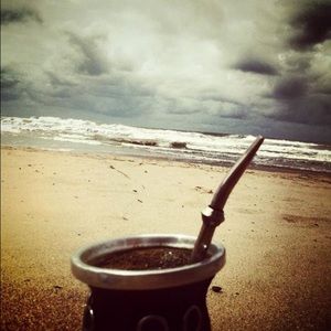 Meet your Posher, Dina