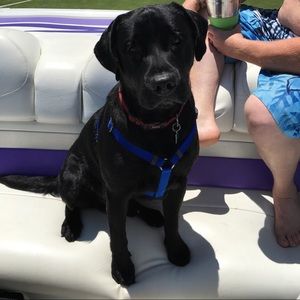 Meet your Posher, Christine