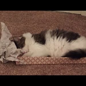 Meet your Posher, Joanne