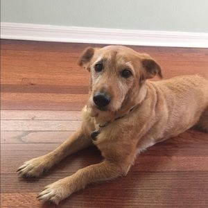 Meet your Posher, Kellie