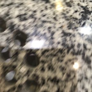 Meet your Posher, Rose