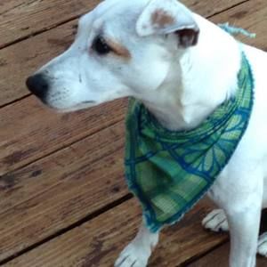 Meet your Posher, Joyce