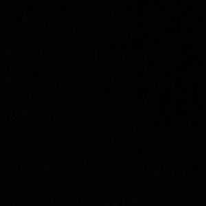 Meet your Posher, Bianca