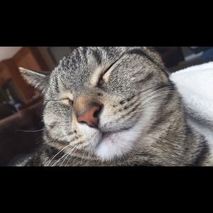 Meet your Posher, Jenna