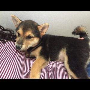 Meet your Posher, Maria