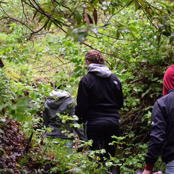 Meet your Posher, Abby - Picture 1 of 1