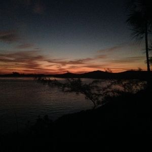 Meet your Posher, Carol